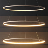 Brice  Modern Contemporary Iron Integrated LED Pendant
