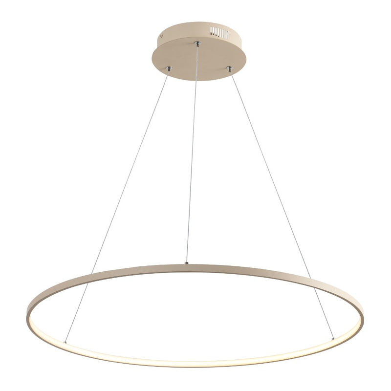 Brice  Modern Contemporary Iron Integrated LED Pendant