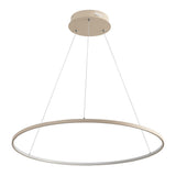 Brice  Modern Contemporary Iron Integrated LED Pendant