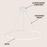 Brice  Modern Contemporary Iron Integrated LED Pendant