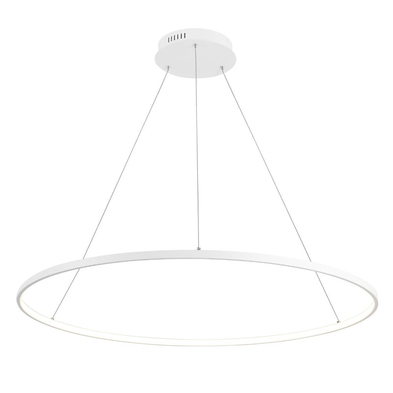 Brice  Modern Contemporary Iron Integrated LED Pendant