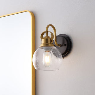 Shirley 6" 1-Light Farmhouse Industrial Metal LED Vanity Light with Seeded Glass Globe Shade