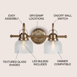 Virginia Metal/Glass LED Vanity Light