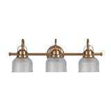 Virginia Metal/Glass LED Vanity Light