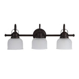 Virginia Metal/Glass LED Vanity Light