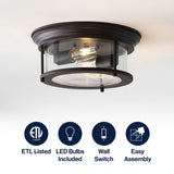 Lauren 13.25" Metal/Glass LED Flush Mount