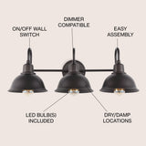 Frisco Farmhouse Industrial Iron LED Vanity