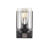 Bungalow Iron/Seeded Glass Rustic Farmhouse LED Vanity Light