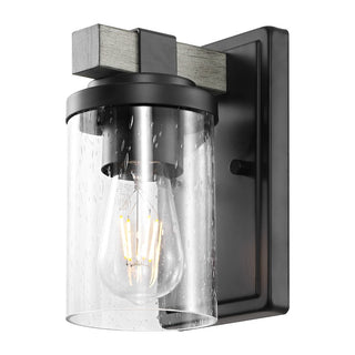 Bungalow Iron/Seeded Glass Rustic Farmhouse LED Vanity Light