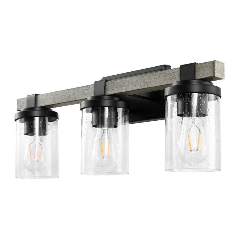 Bungalow Iron/Seeded Glass Rustic Farmhouse LED Vanity Light