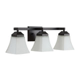 Staunton Iron/Glass Modern Cottage LED Vanity Light