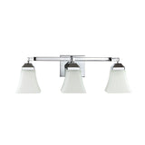 Staunton Iron/Glass Modern Cottage LED Vanity Light