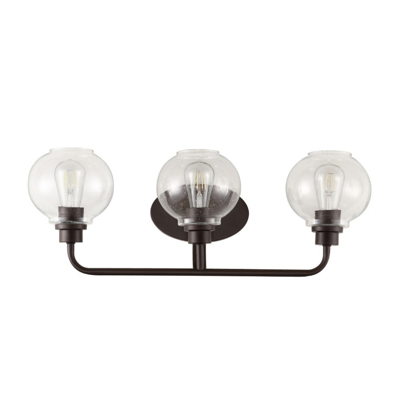 Sandrine Iron/Seeded Glass Cottage Rustic LED Vanity Light