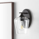 Jayne Iron/Glass Cottage Rustic LED Vanity Light