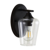 Jayne Iron/Glass Cottage Rustic LED Vanity Light