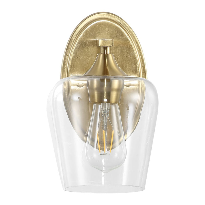 Jayne Iron/Glass Cottage Rustic LED Vanity Light