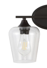 Jayne Iron/Glass Cottage Rustic LED Vanity Light
