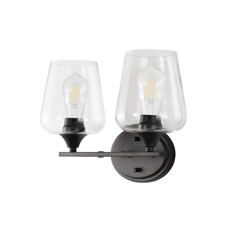 Jayne Iron/Glass Cottage Rustic LED Vanity Light