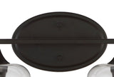 Jayne Iron/Glass Cottage Rustic LED Vanity Light