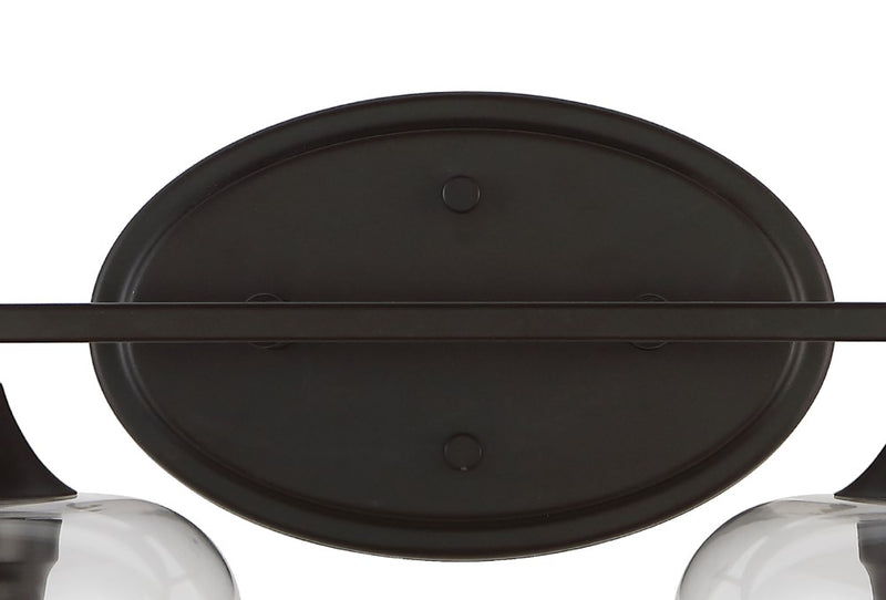 Jayne Iron/Glass Cottage Rustic LED Vanity Light