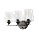 Jayne Iron/Glass Cottage Rustic LED Vanity Light