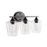 Jayne Iron/Glass Cottage Rustic LED Vanity Light