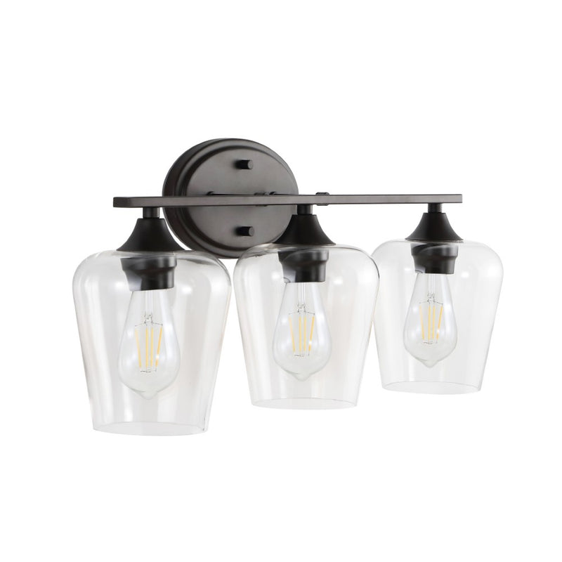 Jayne Iron/Glass Cottage Rustic LED Vanity Light
