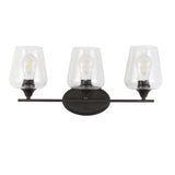 Jayne Iron/Glass Cottage Rustic LED Vanity Light