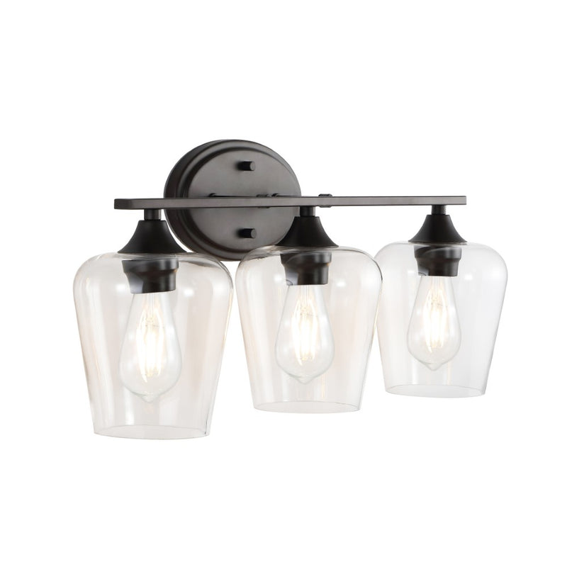Jayne Iron/Glass Cottage Rustic LED Vanity Light