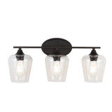 Jayne Iron/Glass Cottage Rustic LED Vanity Light
