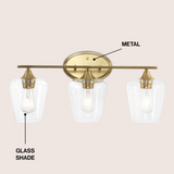 Jayne Iron/Glass Cottage Rustic LED Vanity Light