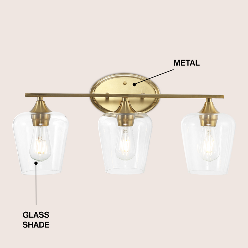 Jayne Iron/Glass Cottage Rustic LED Vanity Light