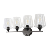 Jayne Iron/Glass Cottage Rustic LED Vanity Light