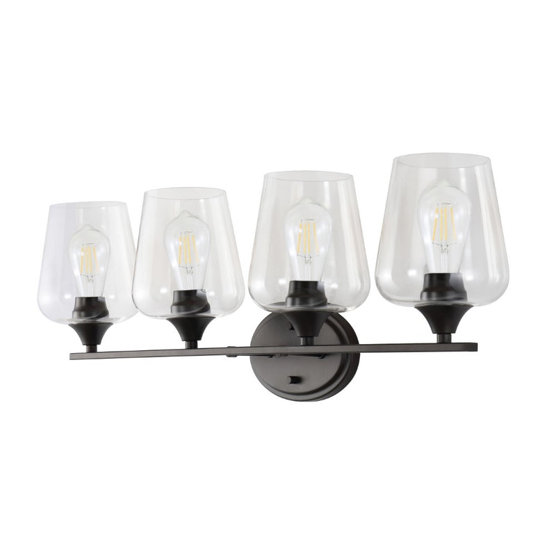 Jayne Iron/Glass Cottage Rustic LED Vanity Light