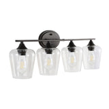 Jayne Iron/Glass Cottage Rustic LED Vanity Light