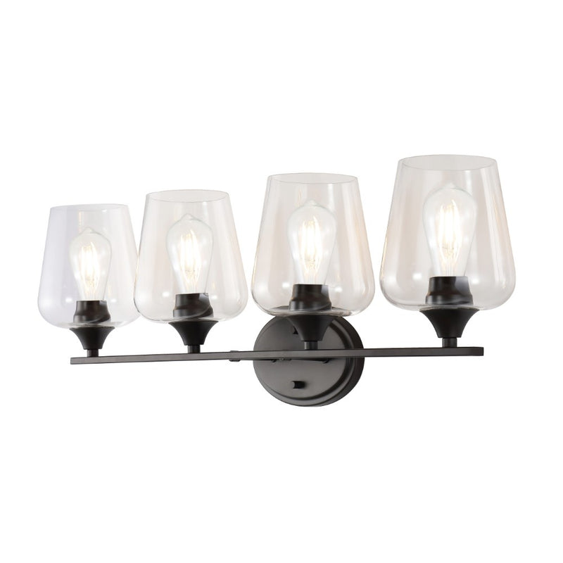 Jayne Iron/Glass Cottage Rustic LED Vanity Light