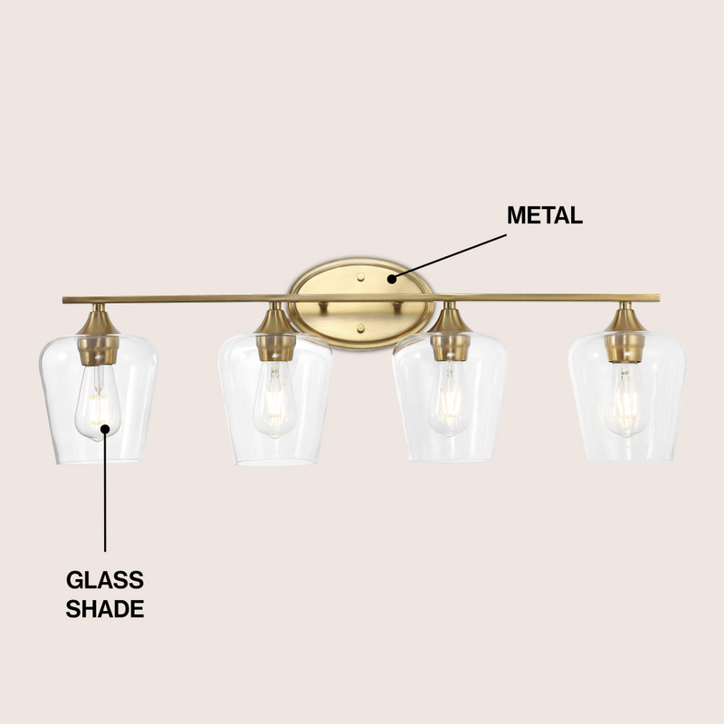 Jayne Iron/Glass Cottage Rustic LED Vanity Light