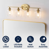 Jayne Iron/Glass Cottage Rustic LED Vanity Light