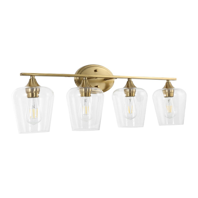 Jayne Iron/Glass Cottage Rustic LED Vanity Light