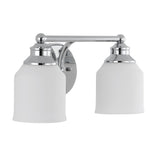 Lydia Iron/Frosted Glass Farmhouse Cottage LED Vanity Light
