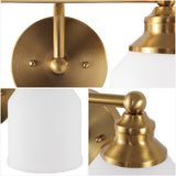 Lydia Iron/Frosted Glass Farmhouse Cottage LED Vanity Light