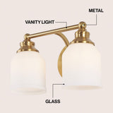 Lydia Iron/Frosted Glass Farmhouse Cottage LED Vanity Light