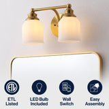 Lydia Iron/Frosted Glass Farmhouse Cottage LED Vanity Light