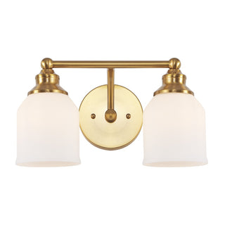 Lydia Iron/Frosted Glass Farmhouse Cottage LED Vanity Light