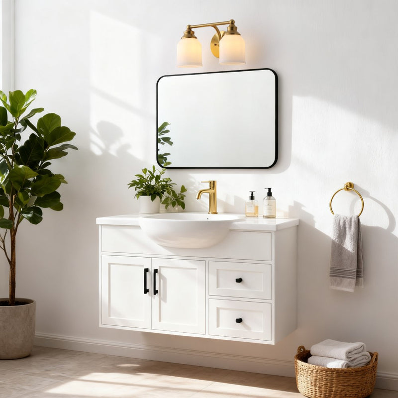 Lydia Iron/Frosted Glass Farmhouse Cottage LED Vanity Light