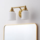 Lydia Iron/Frosted Glass Farmhouse Cottage LED Vanity Light