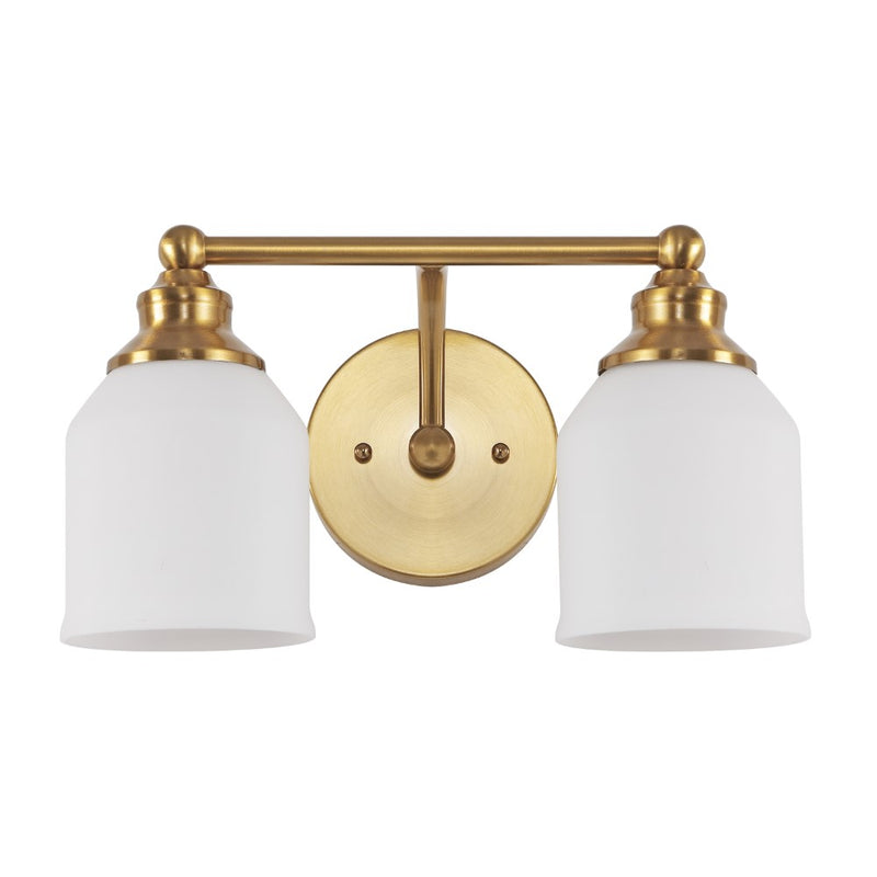 Lydia Iron/Frosted Glass Farmhouse Cottage LED Vanity Light