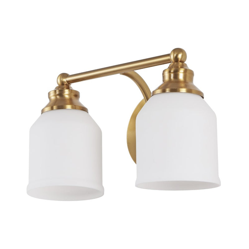 Lydia Iron/Frosted Glass Farmhouse Cottage LED Vanity Light