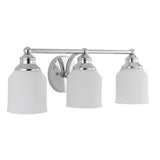 Lydia Iron/Frosted Glass Farmhouse Cottage LED Vanity Light