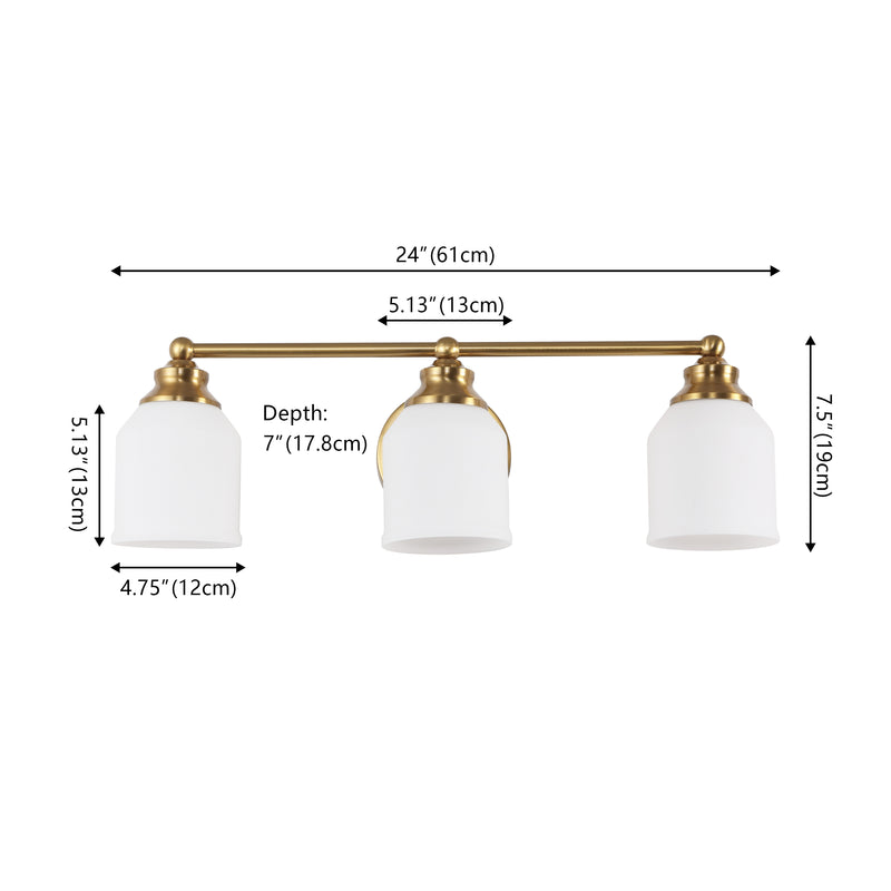 Lydia Iron/Frosted Glass Farmhouse Cottage LED Vanity Light